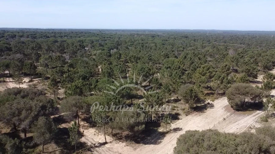 Terreno Misto para Venda em Melides Foto 19