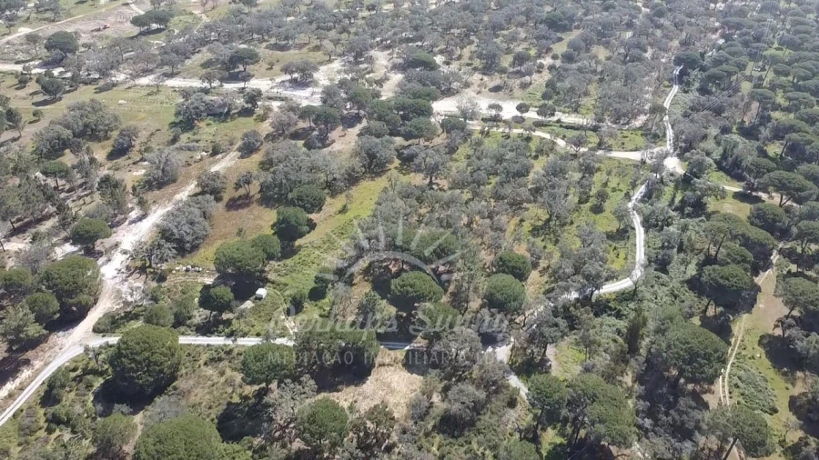 Terreno Misto para Venda em Melides Foto 23