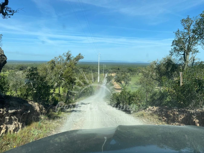 Terreno Misto para Venda em Melides Foto 26