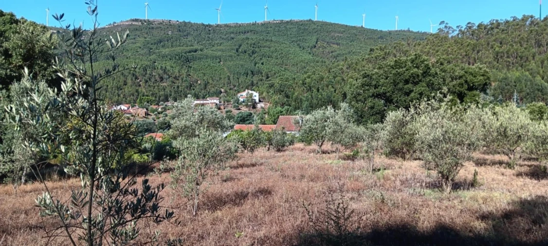 Terreno Agricola ou Rústico para Venda em Amendoa Foto 2
