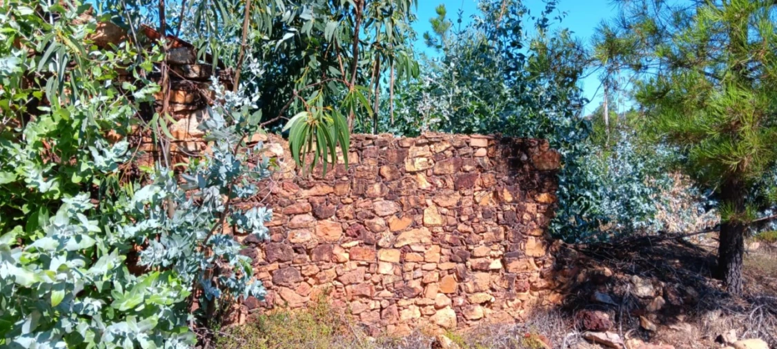 Terreno Agricola ou Rústico para Venda em Amendoa Foto 4
