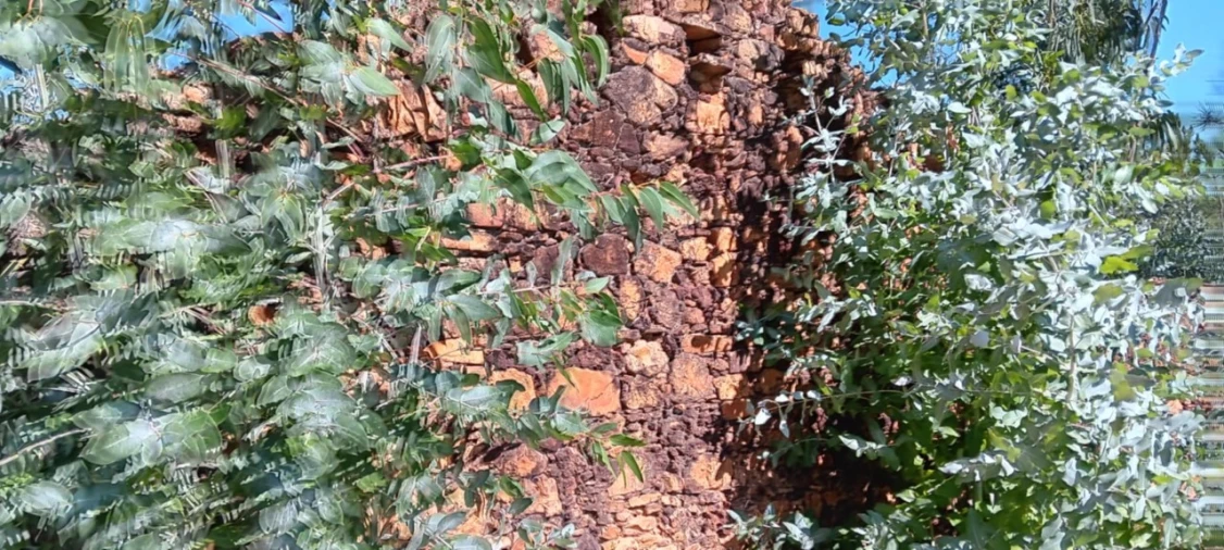 Terreno Agricola ou Rústico para Venda em Amendoa Foto 27