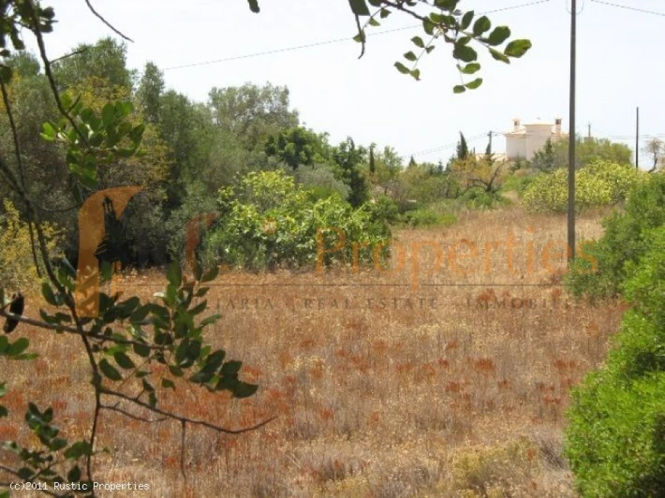 Terreno para Venda em Loule (São Sebastião) Foto 3