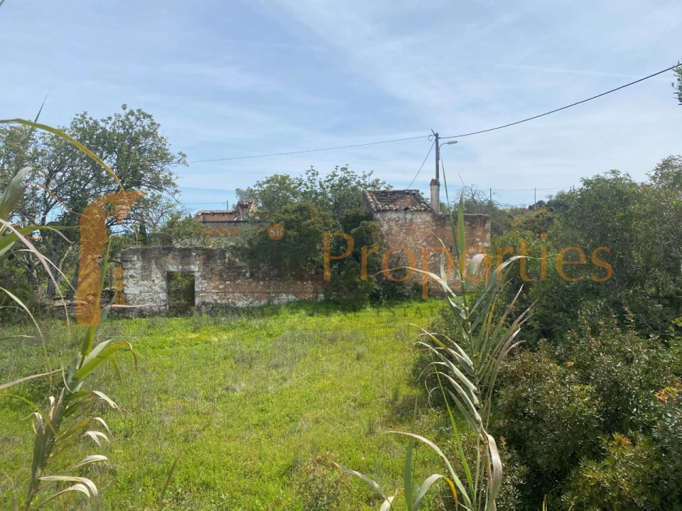 Terreno para Venda em Loule (São Sebastião) Foto 1