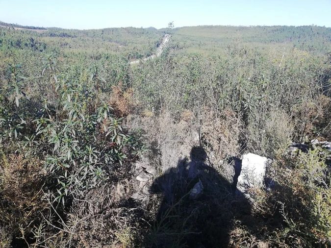 Terreno para Venda em Sardoal Foto 5