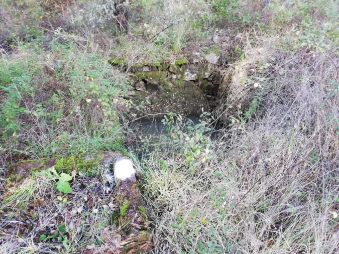 Terreno para Venda em Sardoal Foto 3