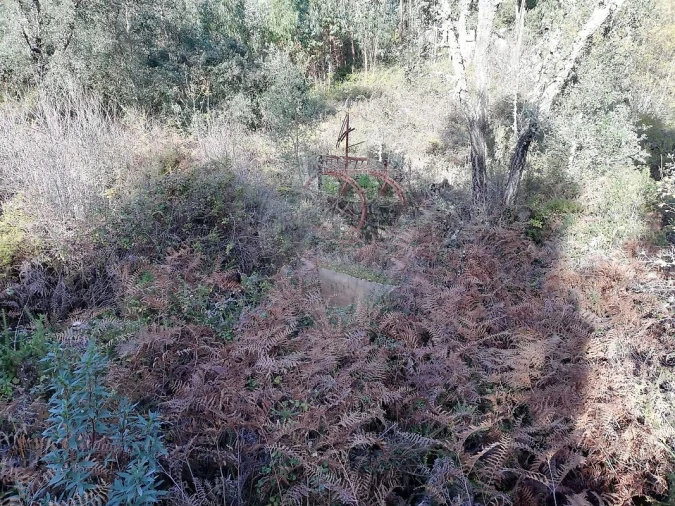Terreno para Venda em Sardoal Foto 4