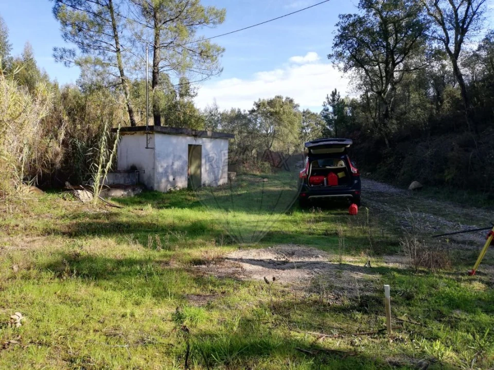 Terreno para Venda em Sardoal Foto 2