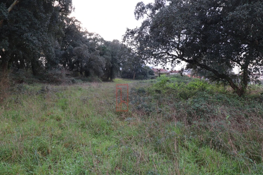 Terreno para Venda em Avintes Foto 4