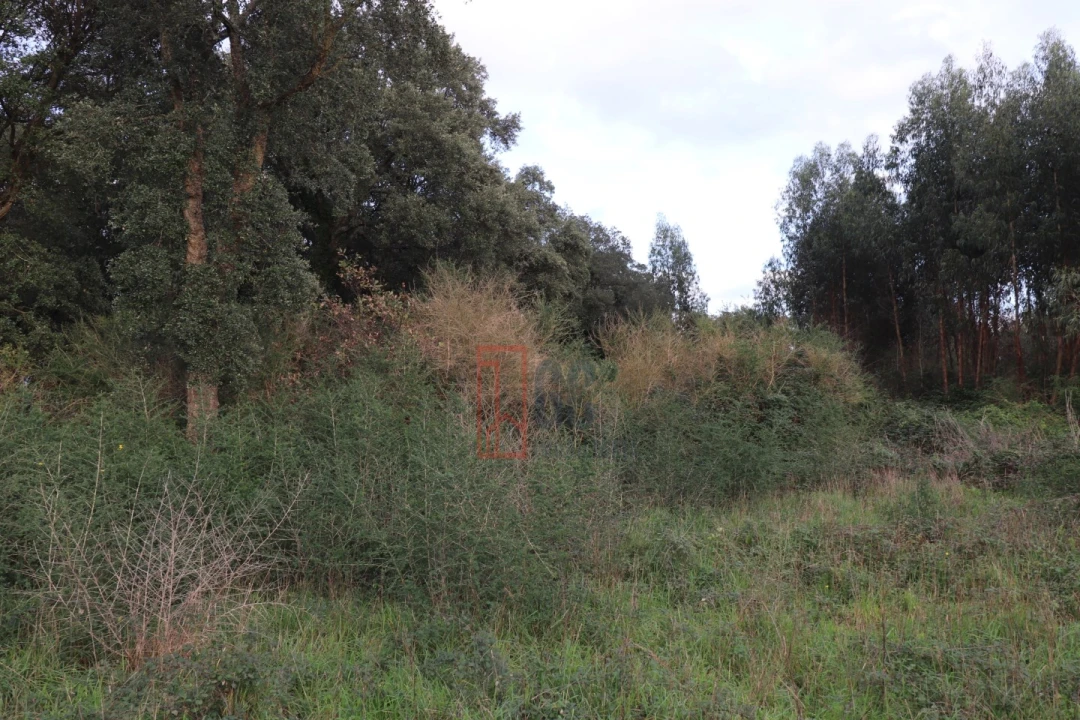 Terreno para Venda em Avintes Foto 7