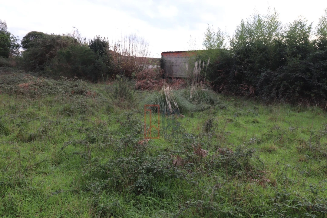 Terreno para Venda em Avintes Foto 8