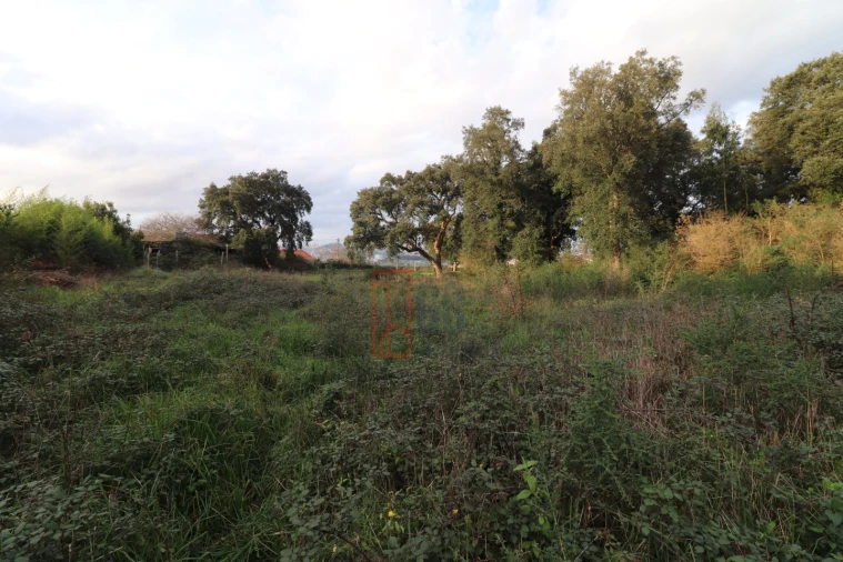 Terreno para Venda em Avintes Foto 6