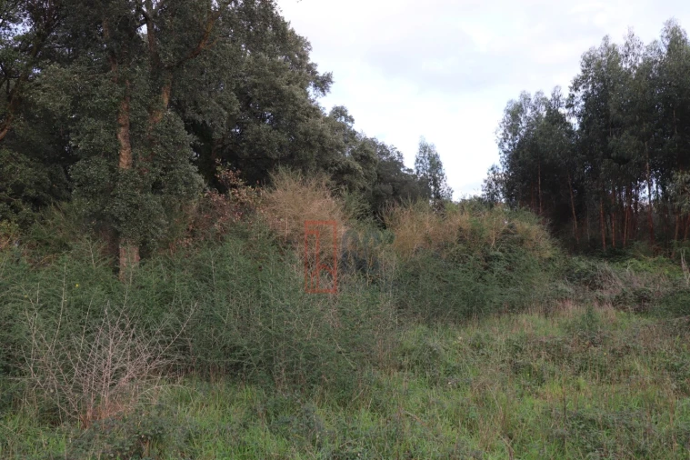Terreno para Venda em Avintes Foto 7