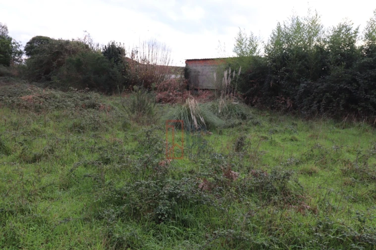 Terreno para Venda em Avintes Foto 8