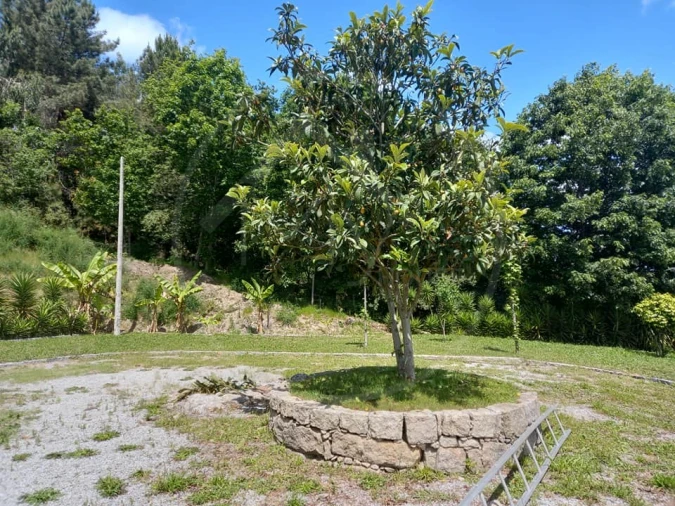 Quinta para Venda em Louredo Foto 24