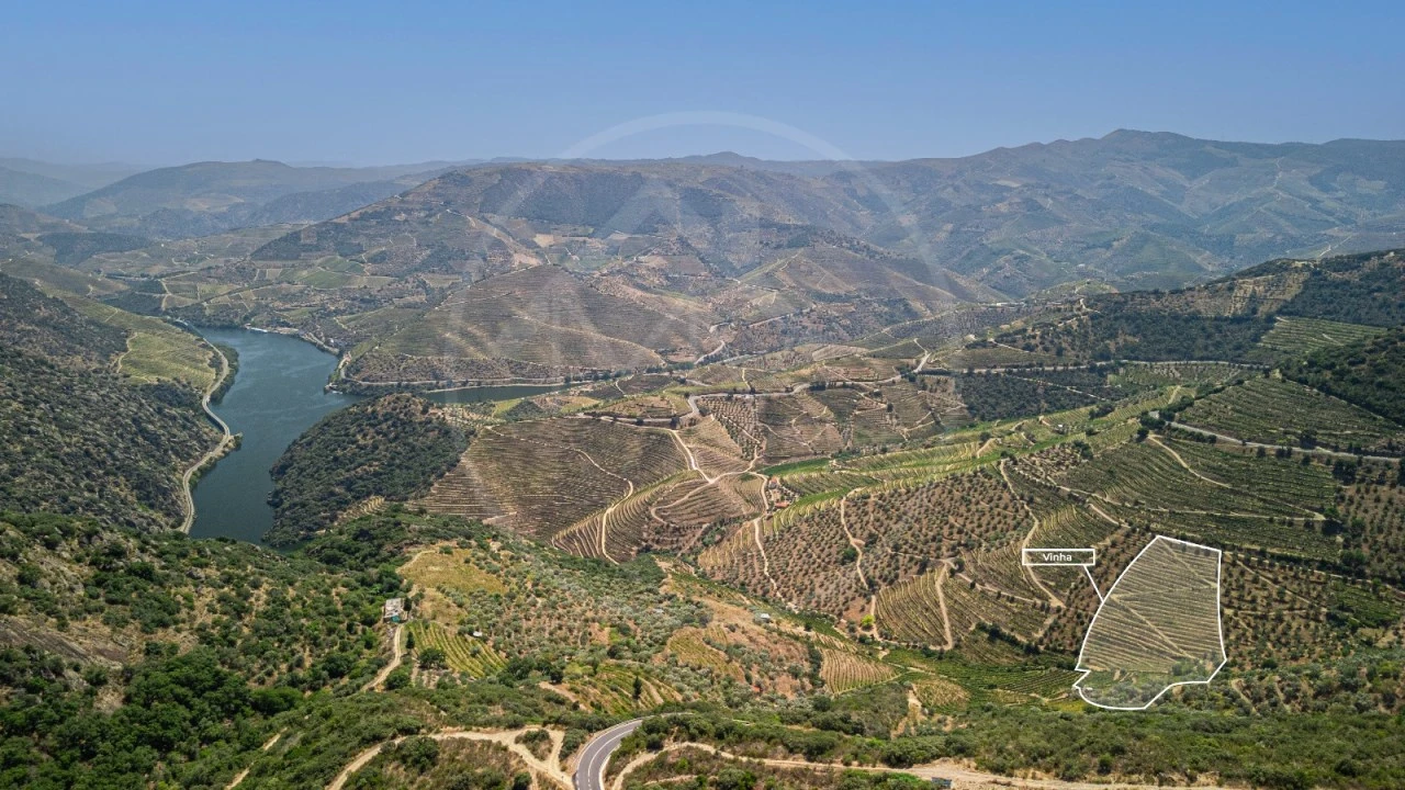 Terreno Agricola ou Rústico para Venda em Vale de Figueira Foto 3