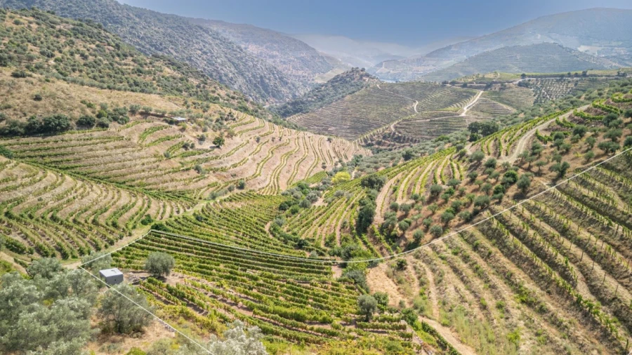 Terreno Agricola ou Rústico para Venda em Vale de Figueira Foto 1