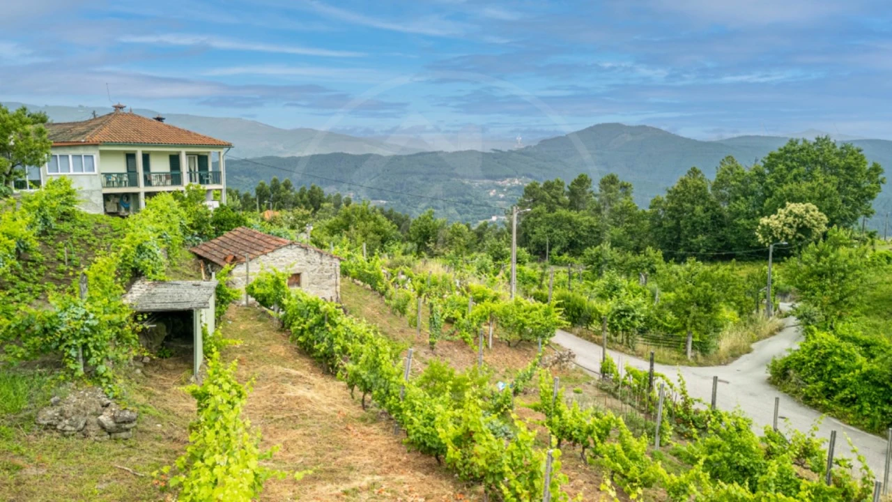 Terreno para Venda em Salvador e Santo Aleixo de Além-Tâmega Foto 3