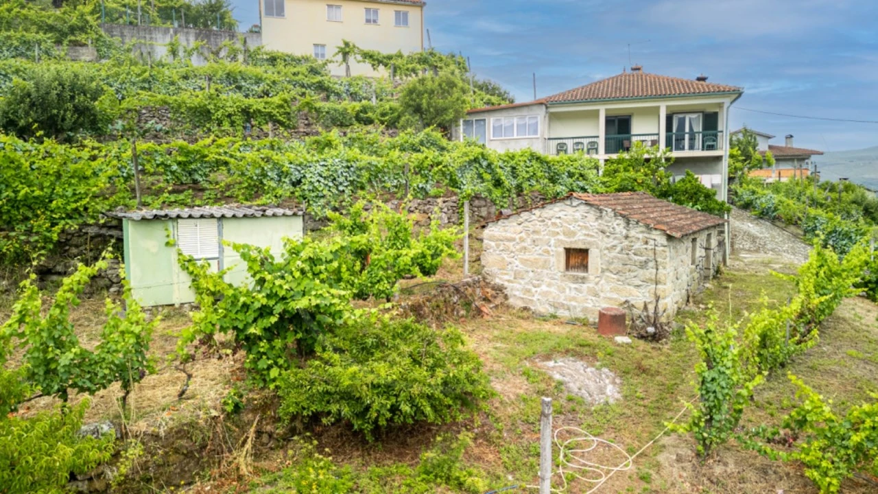 Terreno para Venda em Salvador e Santo Aleixo de Além-Tâmega Foto 2