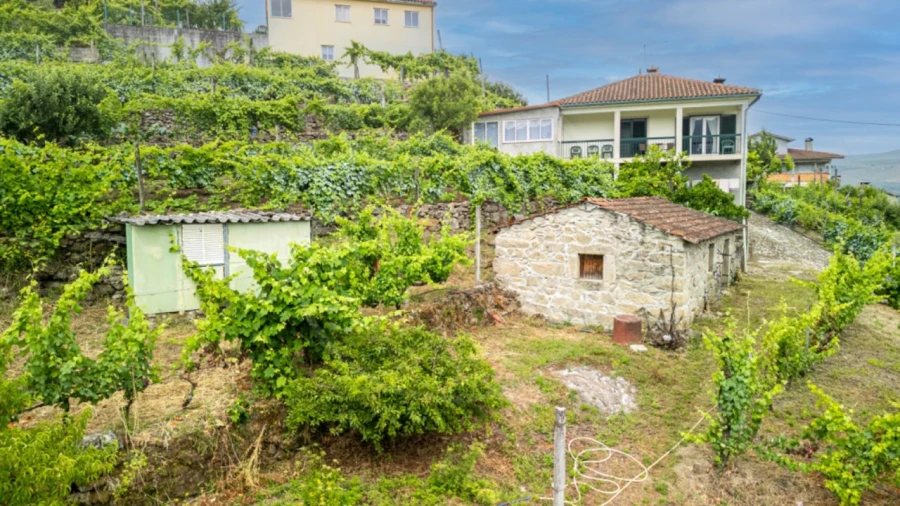 Terreno para Venda em Salvador e Santo Aleixo de Além-Tâmega Foto 2