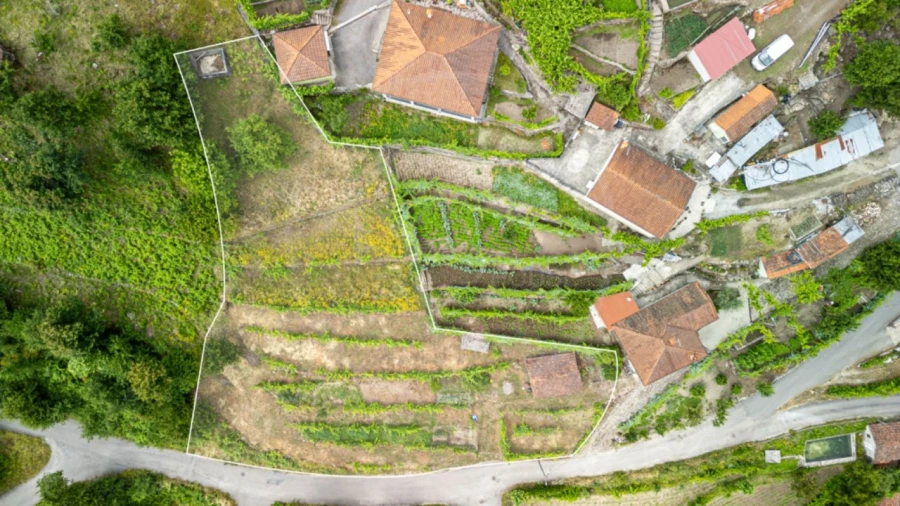 Terreno para Venda em Salvador e Santo Aleixo de Além-Tâmega Foto 5