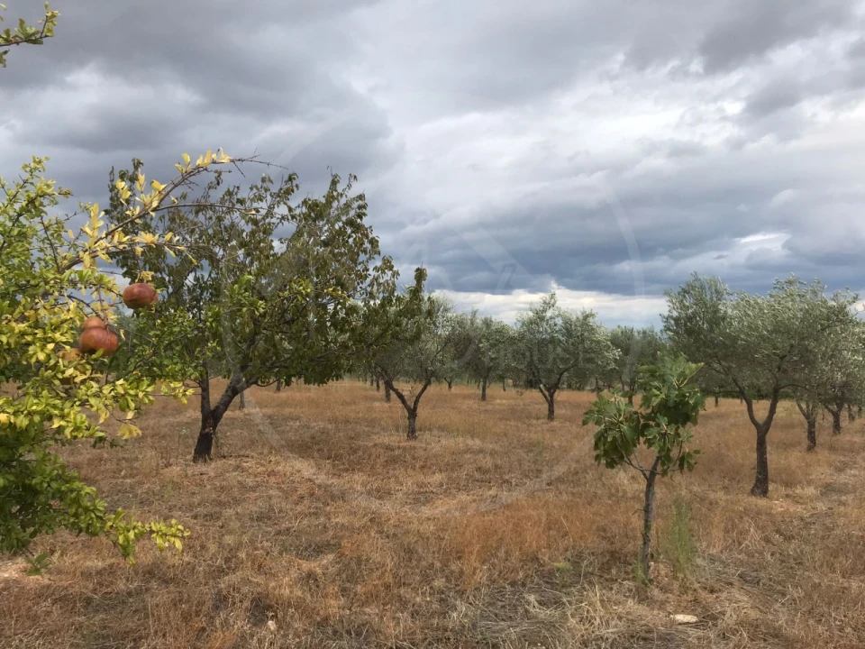 Quinta T2 para Venda em Passos Foto 5