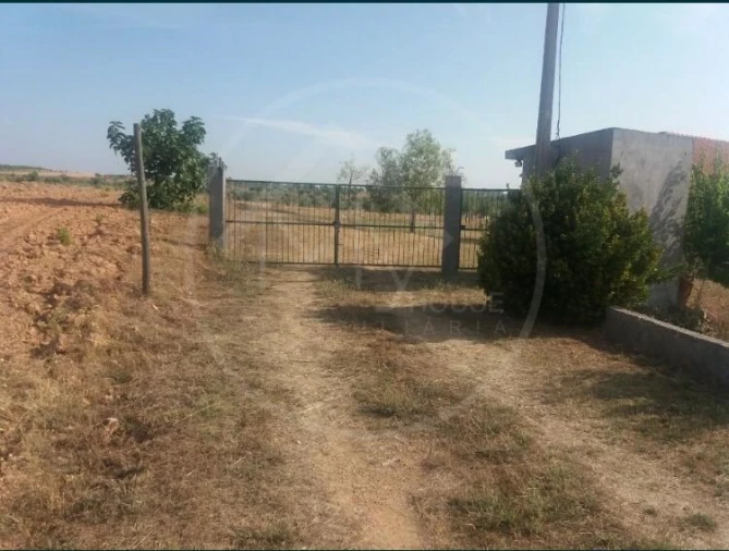 Quinta T2 para Venda em Passos Foto 3