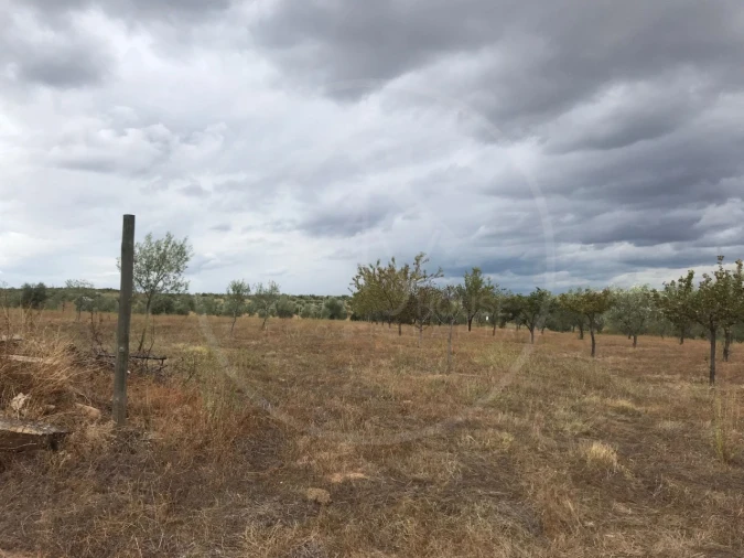 Quinta T2 para Venda em Passos Foto 4