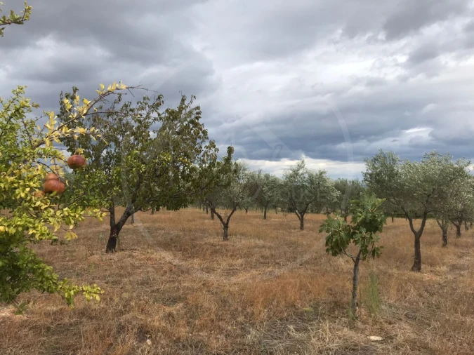 Quinta T2 para Venda em Passos Foto 5