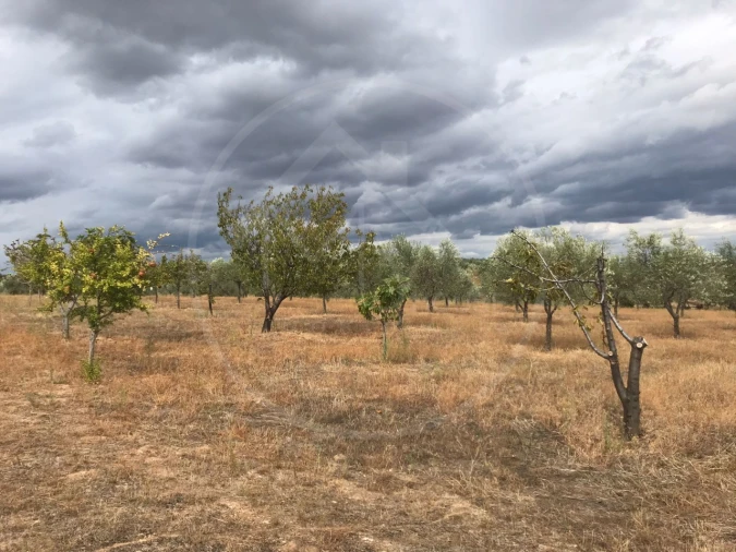 Quinta T2 para Venda em Passos Foto 7