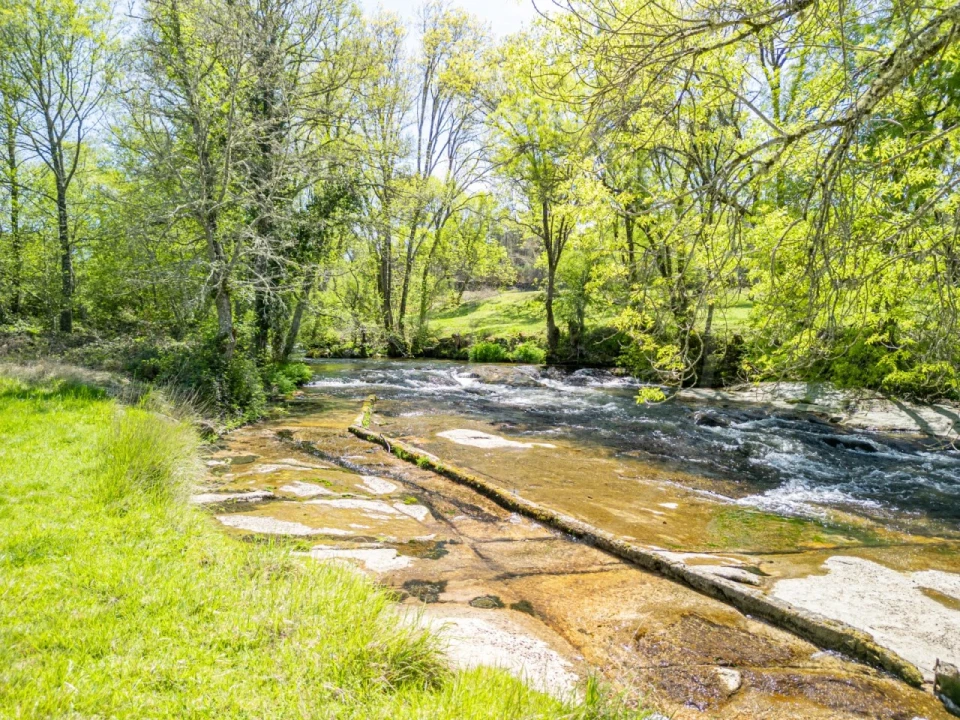 Quinta para Venda em Bornes de Aguiar Foto 4