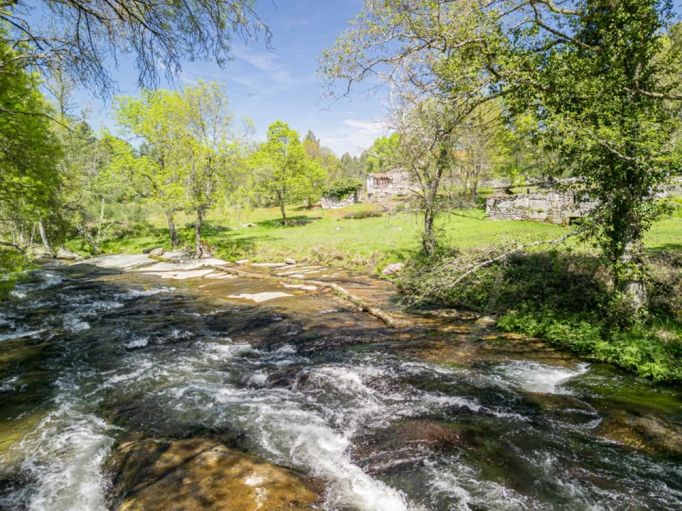 Quinta para Venda em Bornes de Aguiar Foto 7