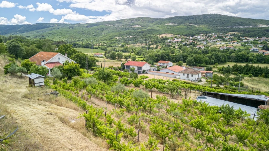 Moradia T3 para Venda em Bornes de Aguiar Foto 4