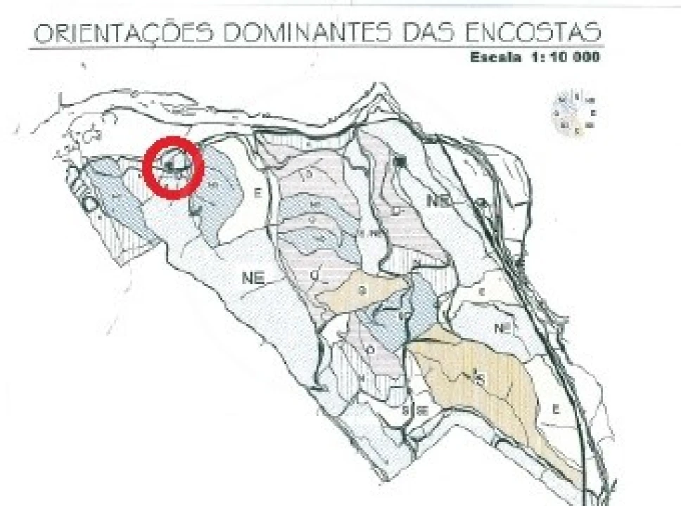 Quinta para Venda em São Bartolomeu de Messines Foto 12