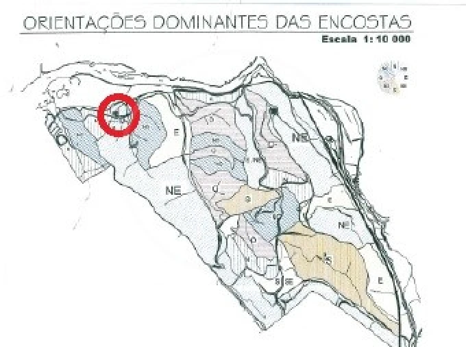 Quinta para Venda em São Bartolomeu de Messines Foto 12