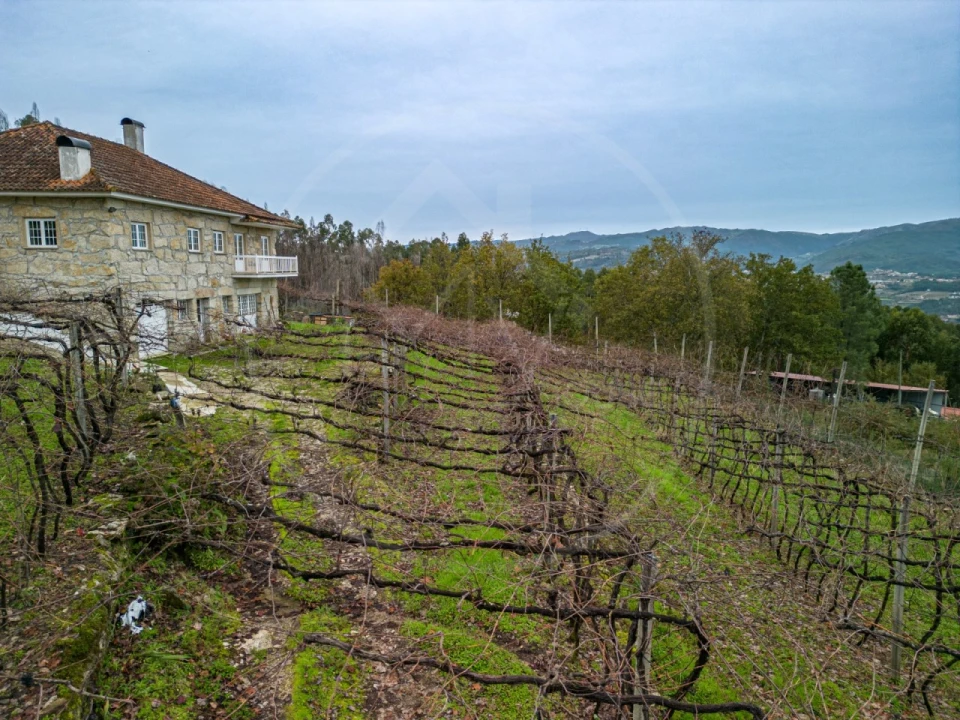 Moradia T3 para Venda em Cerva e Limões Foto 16