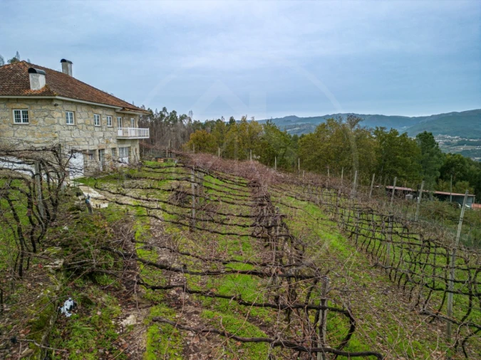 Moradia T3 para Venda em Cerva e Limões Foto 16