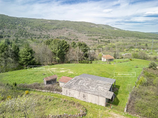 Quinta para Venda em Vila Pouca de Aguiar Foto 1