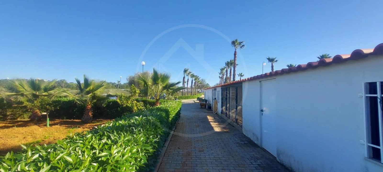 Quinta T9 para Venda em Guia Foto 11