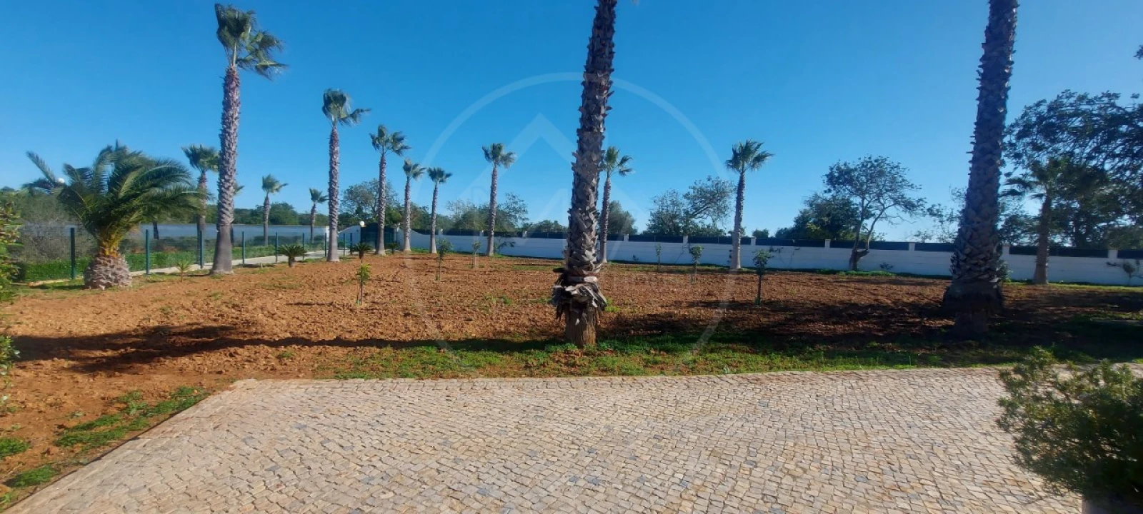 Quinta T9 para Venda em Guia Foto 12