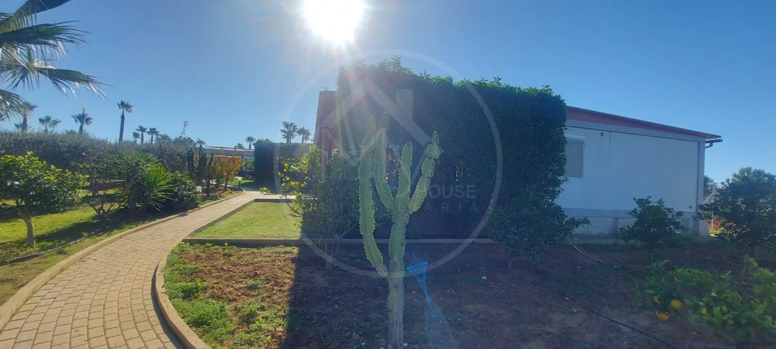 Quinta T9 para Venda em Guia Foto 16