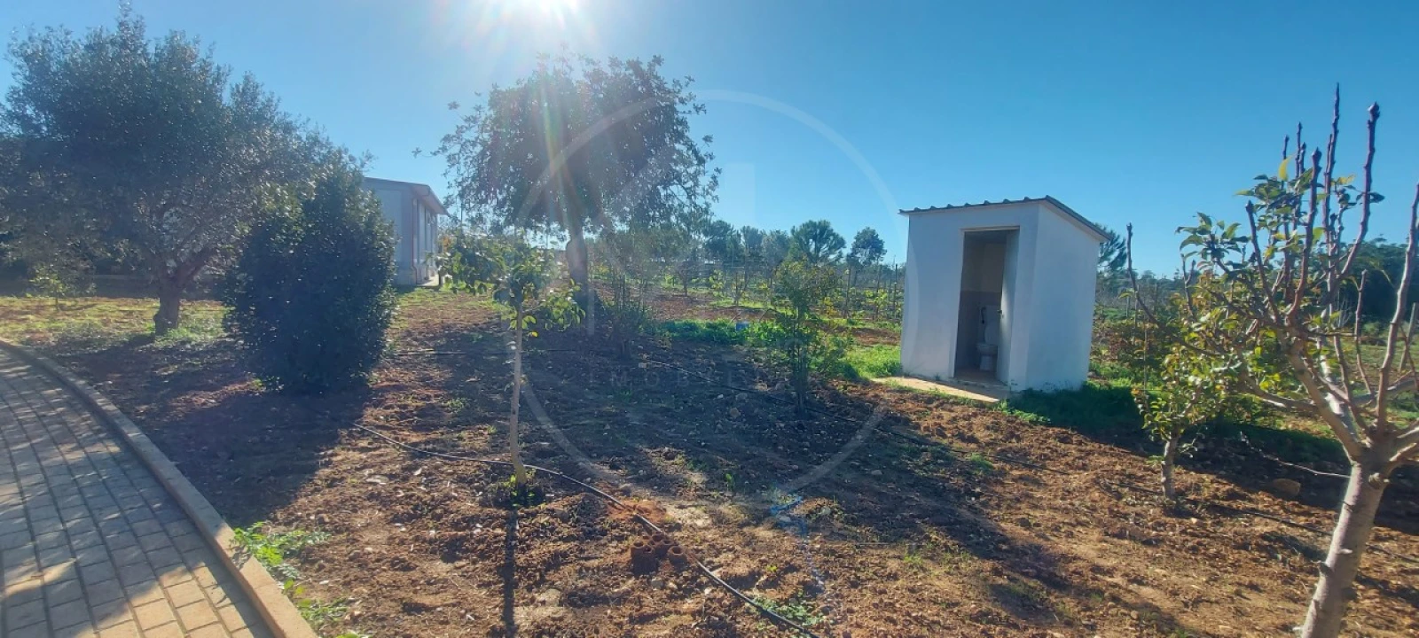 Quinta T9 para Venda em Guia Foto 19