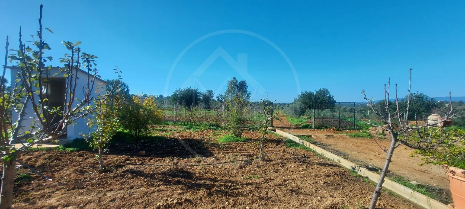 Quinta T9 para Venda em Guia Foto 20