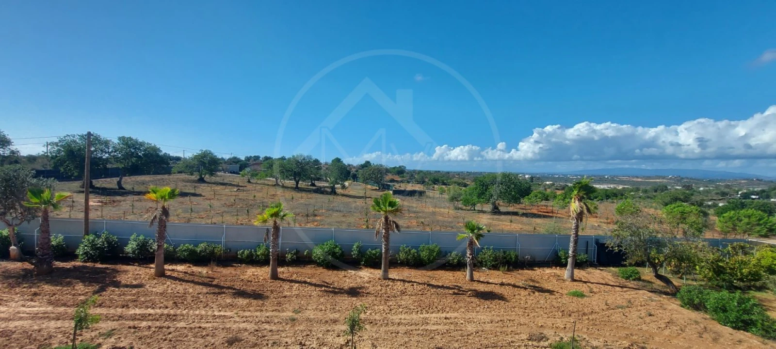 Quinta T9 para Venda em Guia Foto 72