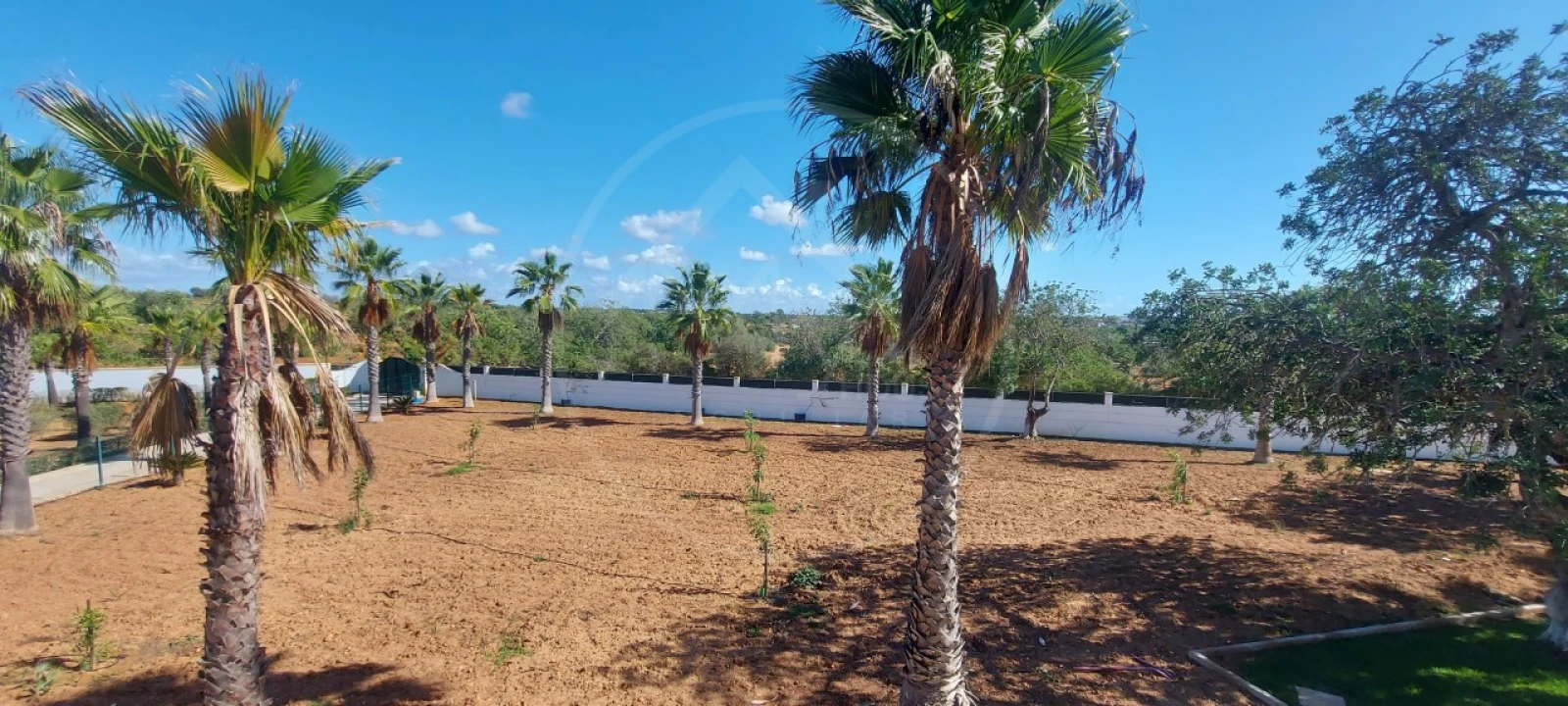 Quinta T9 para Venda em Guia Foto 74