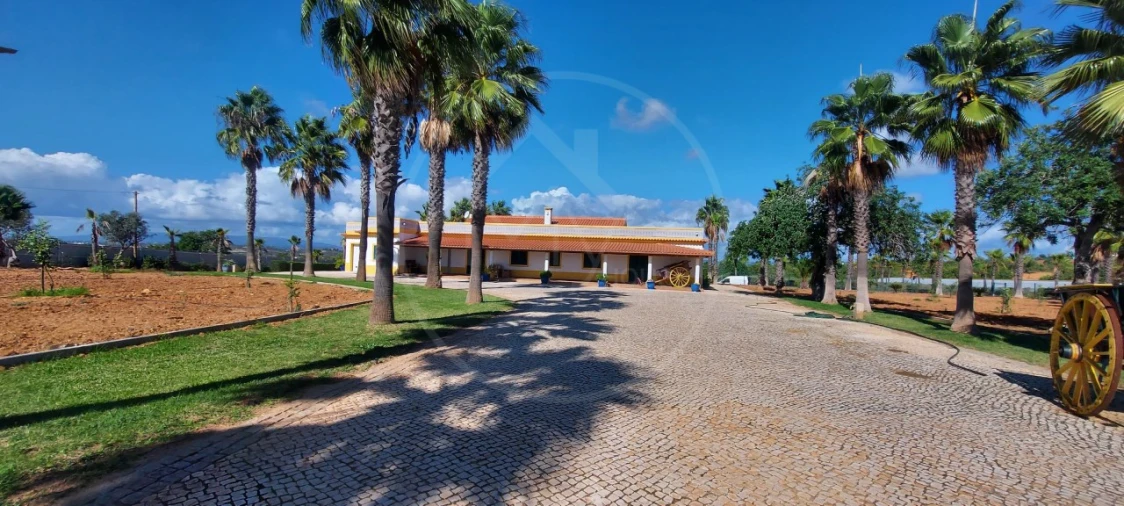 Quinta T9 para Venda em Guia Foto 3