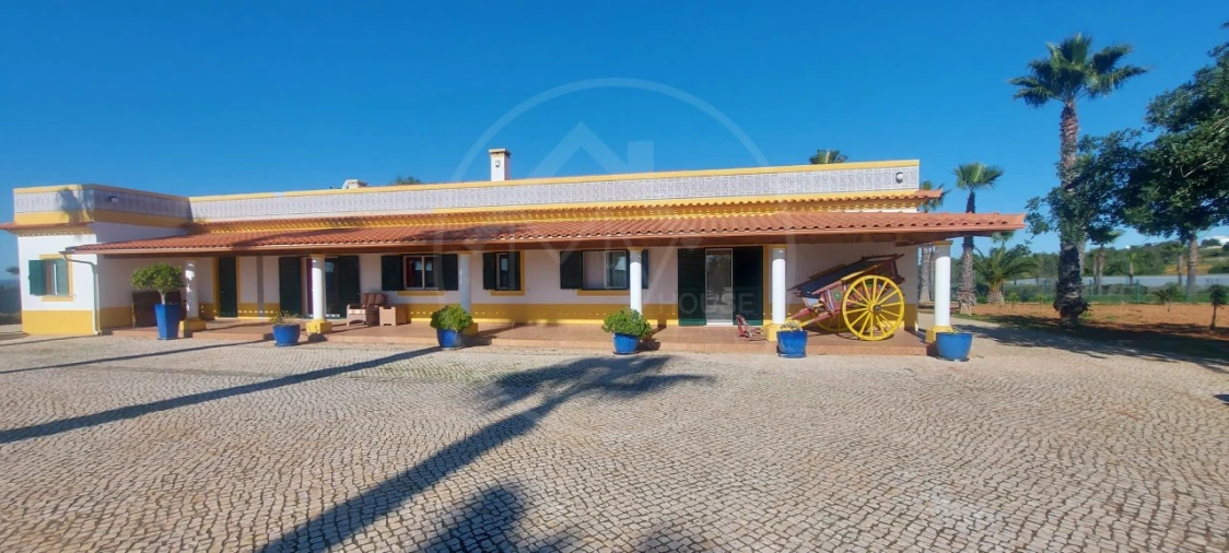 Quinta T9 para Venda em Guia Foto 4