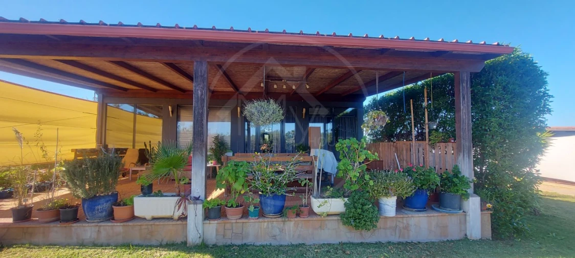 Quinta T9 para Venda em Guia Foto 5