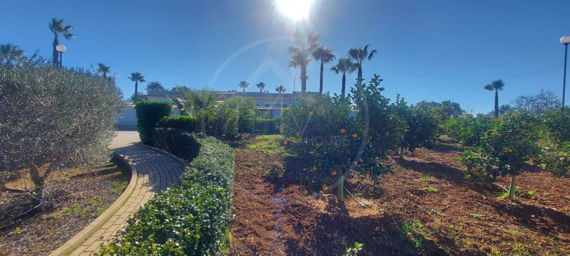 Quinta T9 para Venda em Guia Foto 14