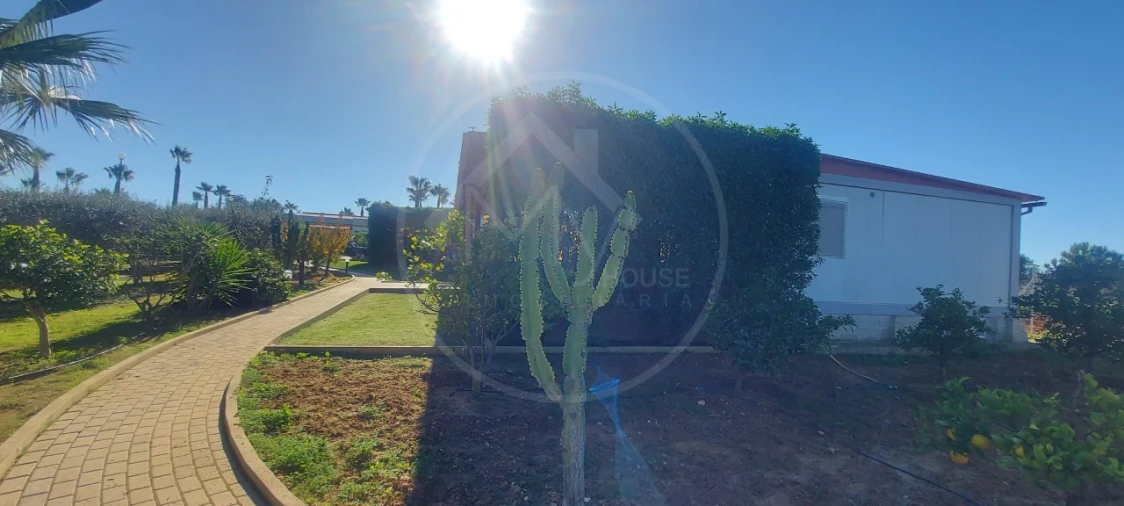 Quinta T9 para Venda em Guia Foto 16